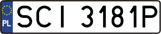 SCI3181P