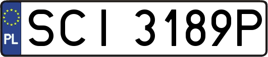 SCI3189P