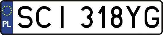 SCI318YG