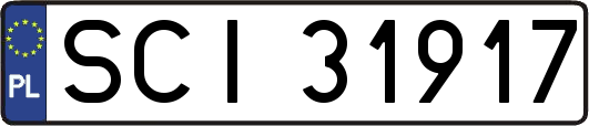 SCI31917