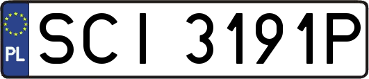 SCI3191P