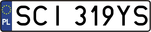 SCI319YS