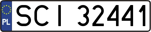 SCI32441
