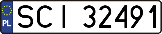 SCI32491