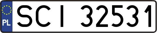 SCI32531