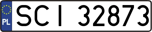SCI32873