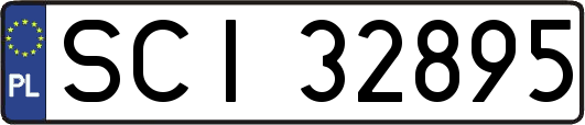 SCI32895