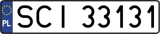 SCI33131
