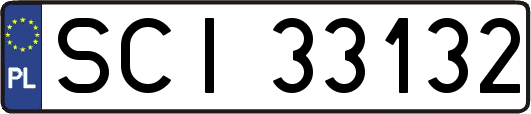 SCI33132