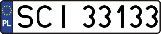 SCI33133