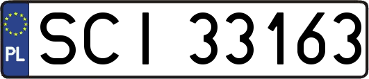 SCI33163