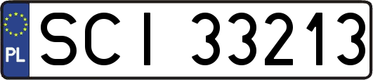 SCI33213