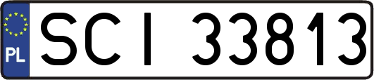 SCI33813