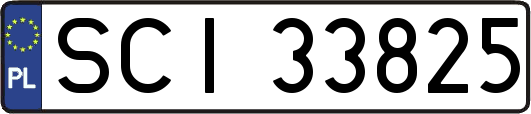 SCI33825