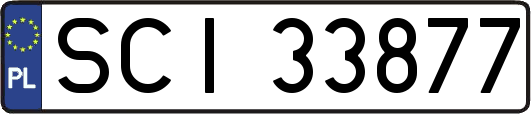 SCI33877