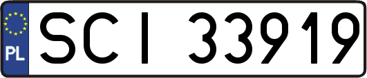 SCI33919