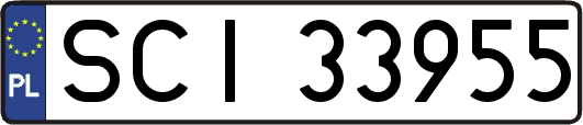 SCI33955