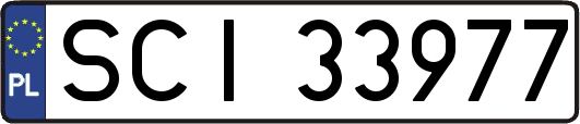 SCI33977