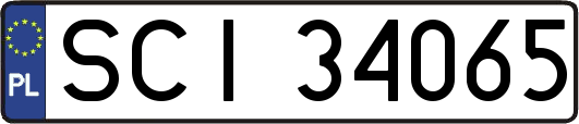 SCI34065