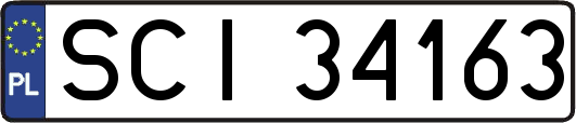 SCI34163