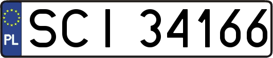 SCI34166