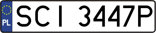 SCI3447P