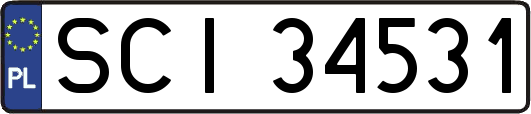 SCI34531