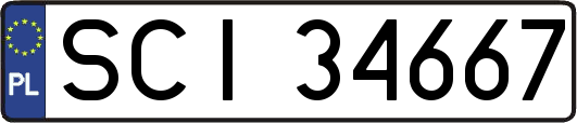 SCI34667