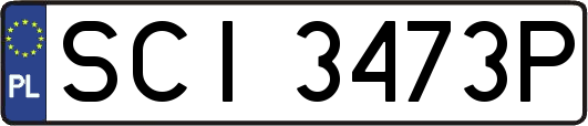 SCI3473P