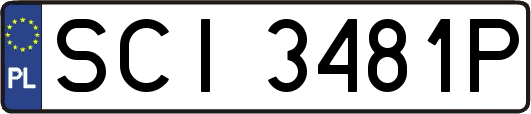 SCI3481P