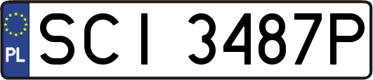 SCI3487P