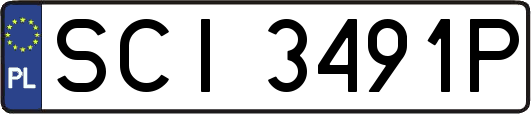 SCI3491P