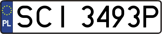 SCI3493P
