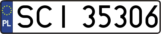 SCI35306