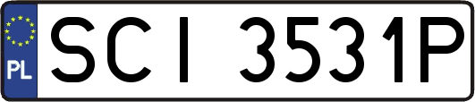 SCI3531P