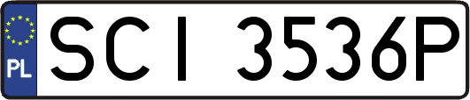 SCI3536P