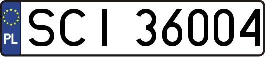 SCI36004