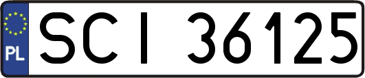 SCI36125