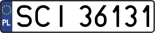 SCI36131