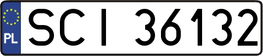 SCI36132