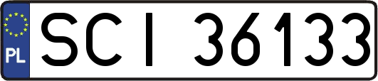 SCI36133