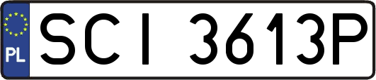 SCI3613P