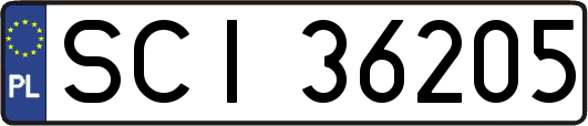 SCI36205