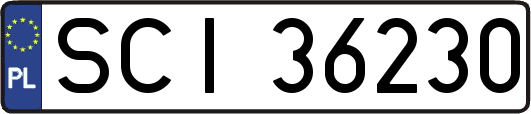 SCI36230