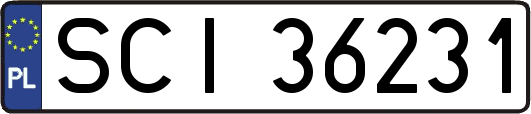 SCI36231