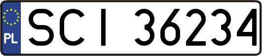 SCI36234