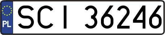 SCI36246