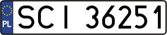 SCI36251