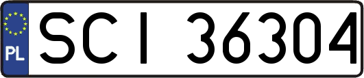 SCI36304