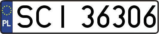 SCI36306